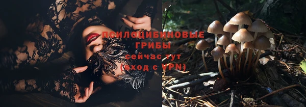 синтетический гашиш Нефтекумск