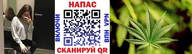 Шишки марихуана планчик  Райчихинск 